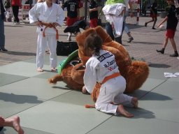 Bilder aus 2011